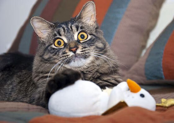 九游娱乐app下载-5分钟决胜：最后段比赛激烈拼抢，谁能笑到最后？，五分钟比赛