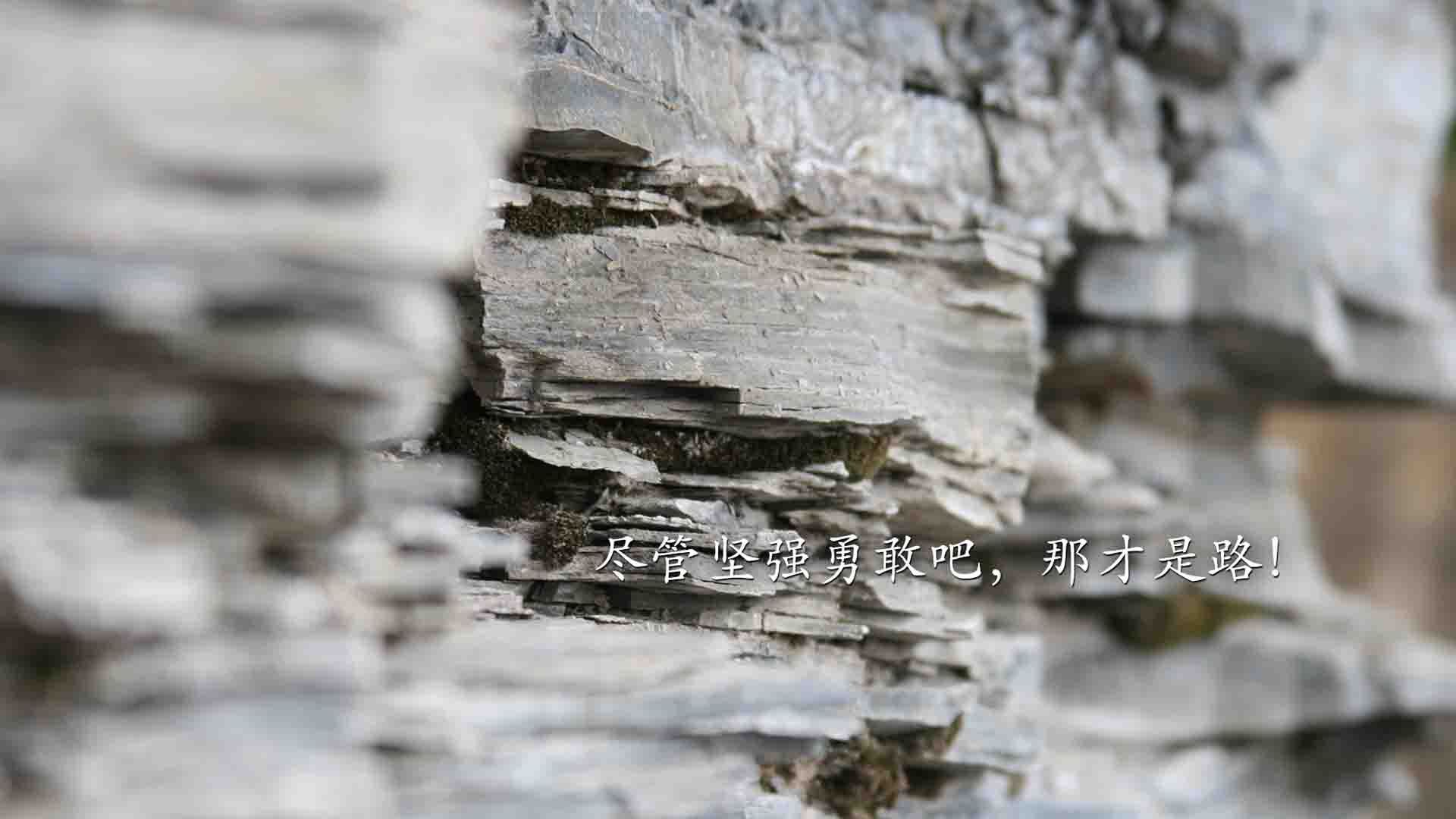 “逆境中的领袖：明星队长的坚韧精神”，明星队队长