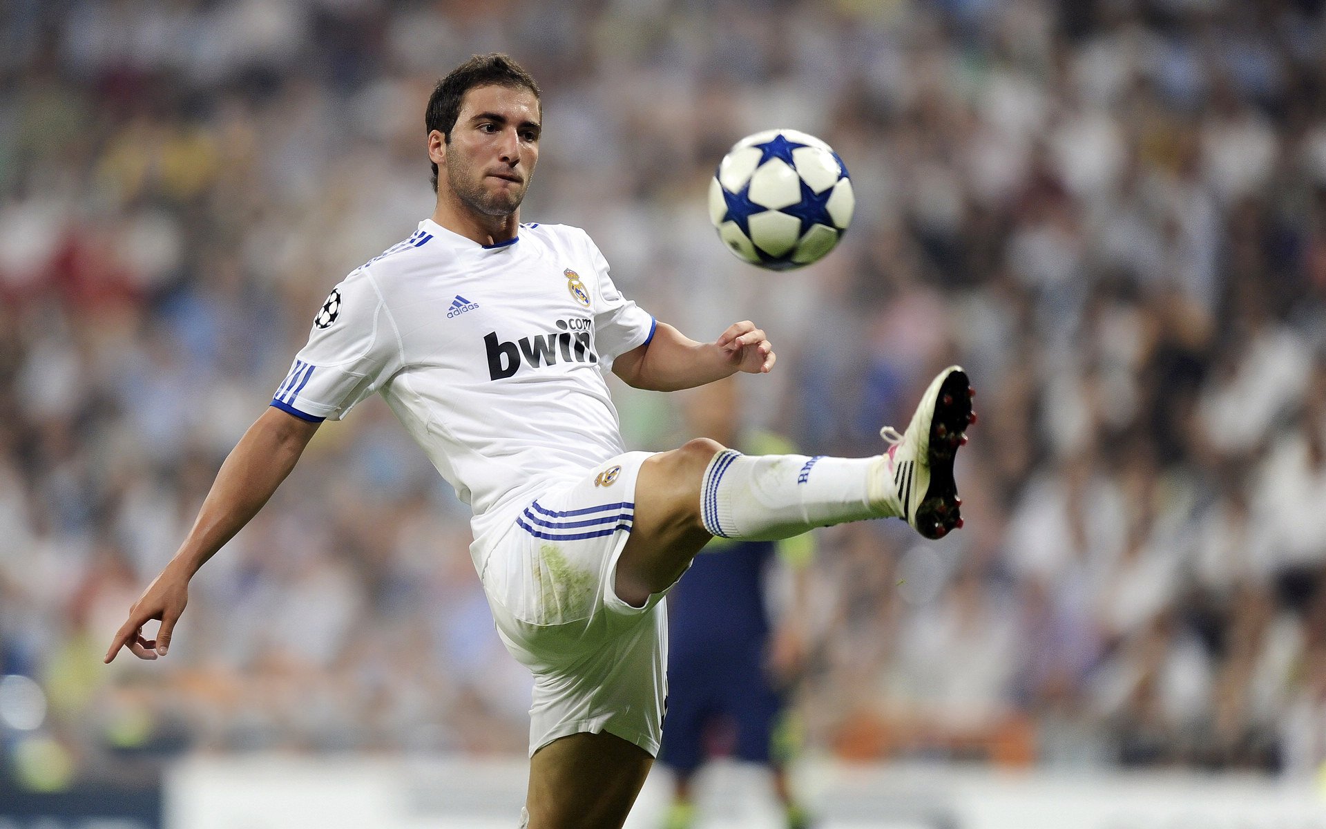 J9九游会-柯洁豪取连胜围棋冠军赛，柯洁拿了几个围棋世界冠军